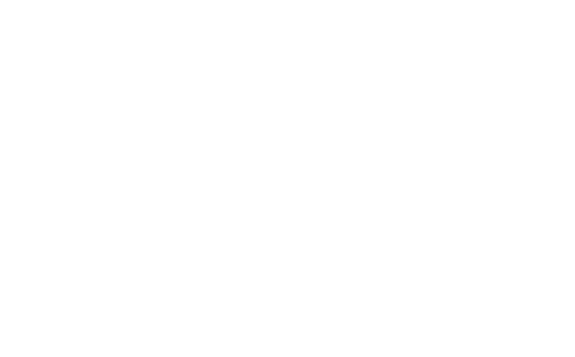 Best Sox